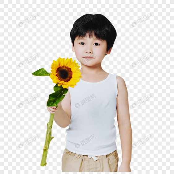 手拿向日葵的可爱男孩图片