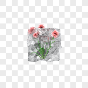 C4D夏日冰块中的花朵图片