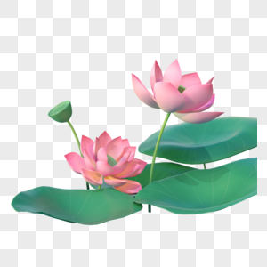 创意C4D荷花植物3D立体模型图片