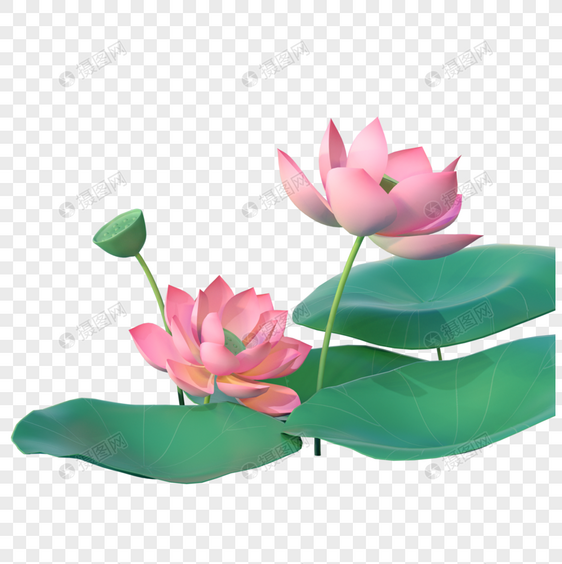 创意C4D荷花植物3D立体模型图片