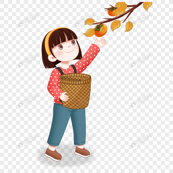 秋天摘柿子的女孩图片