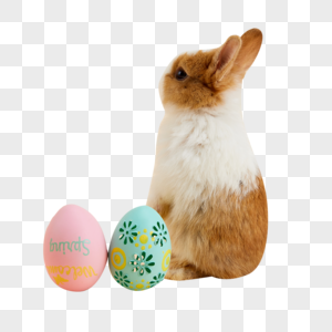 复活节彩蛋和小兔子高清图片