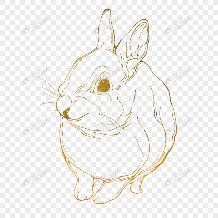 兔子金箔兔金边兔描边描金兔子金色兔兔手绘兔子图片