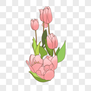 花卉花草植物手绘卡通花鲜花花束郁金香粉色花朵高清图片