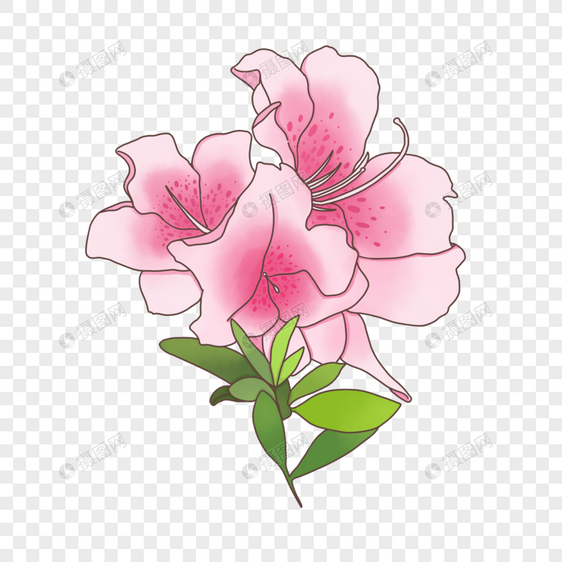 花卉花草植粉色花朵手绘卡通花杜鹃花图片