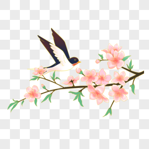 国潮立春燕子和桃花春季粉红色桃花花枝飞鸟燕子高清图片