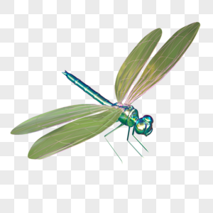 3D立体炫彩蜻蜓昆虫主题模型元素图片
