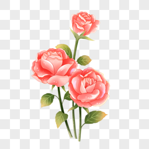 情人节玫瑰花插画元素高清图片