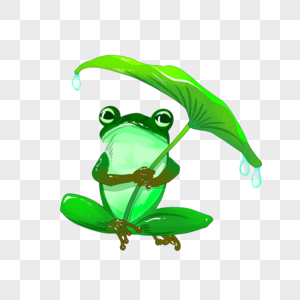 遮雨的青蛙遮雨的青蛙高清图片