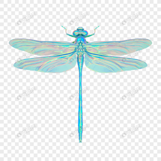 昆虫酸性模型蜻蜓图片