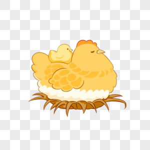 孵蛋的母鸡小动物鸡卡通高清图片