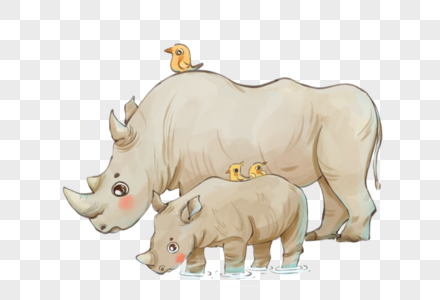 白犀牛珍稀动物濒危高清图片