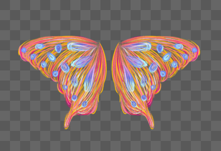 炫彩翅膀橙色蝴蝶图片