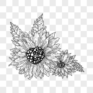 线描装饰花纹向日葵元素图片