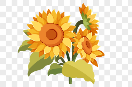 手绘阳光向日葵花朵高清图片
