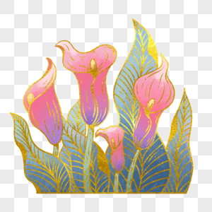 马蹄莲花朵金边装饰花纹图片