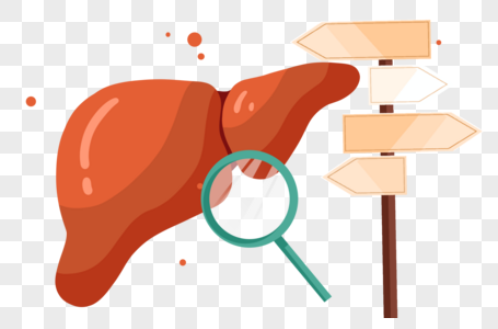 肝炎日检查肝脏问题图片
