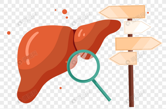肝炎日检查肝脏问题图片