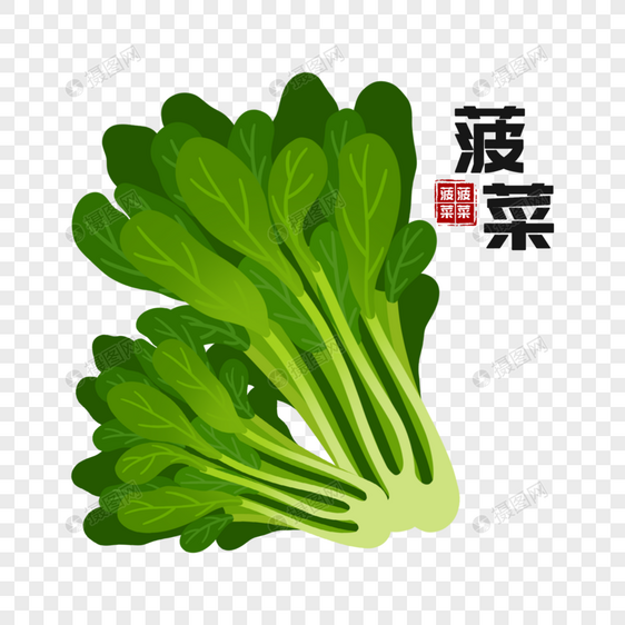 菠菜图片