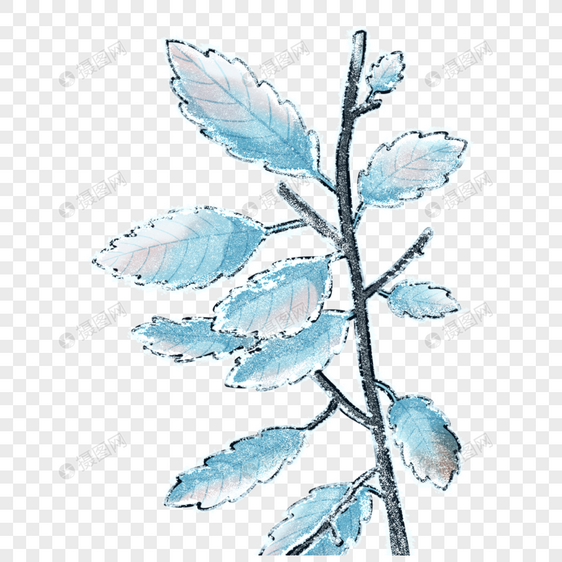 结霜的树叶图片