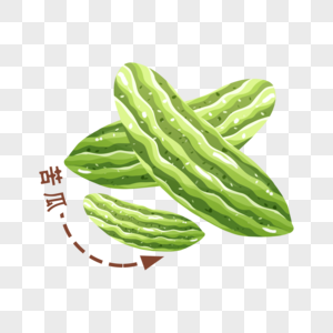 苦瓜夏季蔬菜高清图片