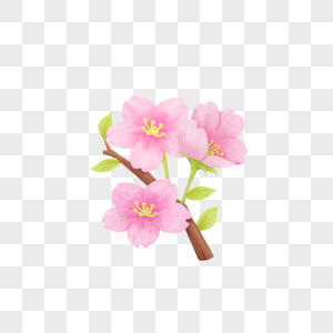 樱花植物与鲜花高清图片