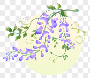 紫藤花紫色叶子高清图片