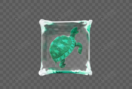 塑料中的乌龟C4D模型图片