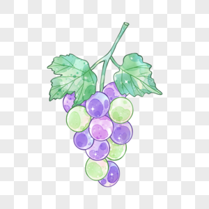 夏季水果葡萄高清图片