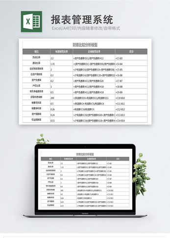 报表管理系统excel模板图片