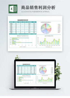 雾面商品销售利润分析excel模板excel文档