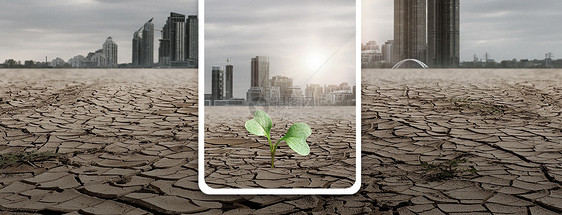 生命顽强手机海报配图