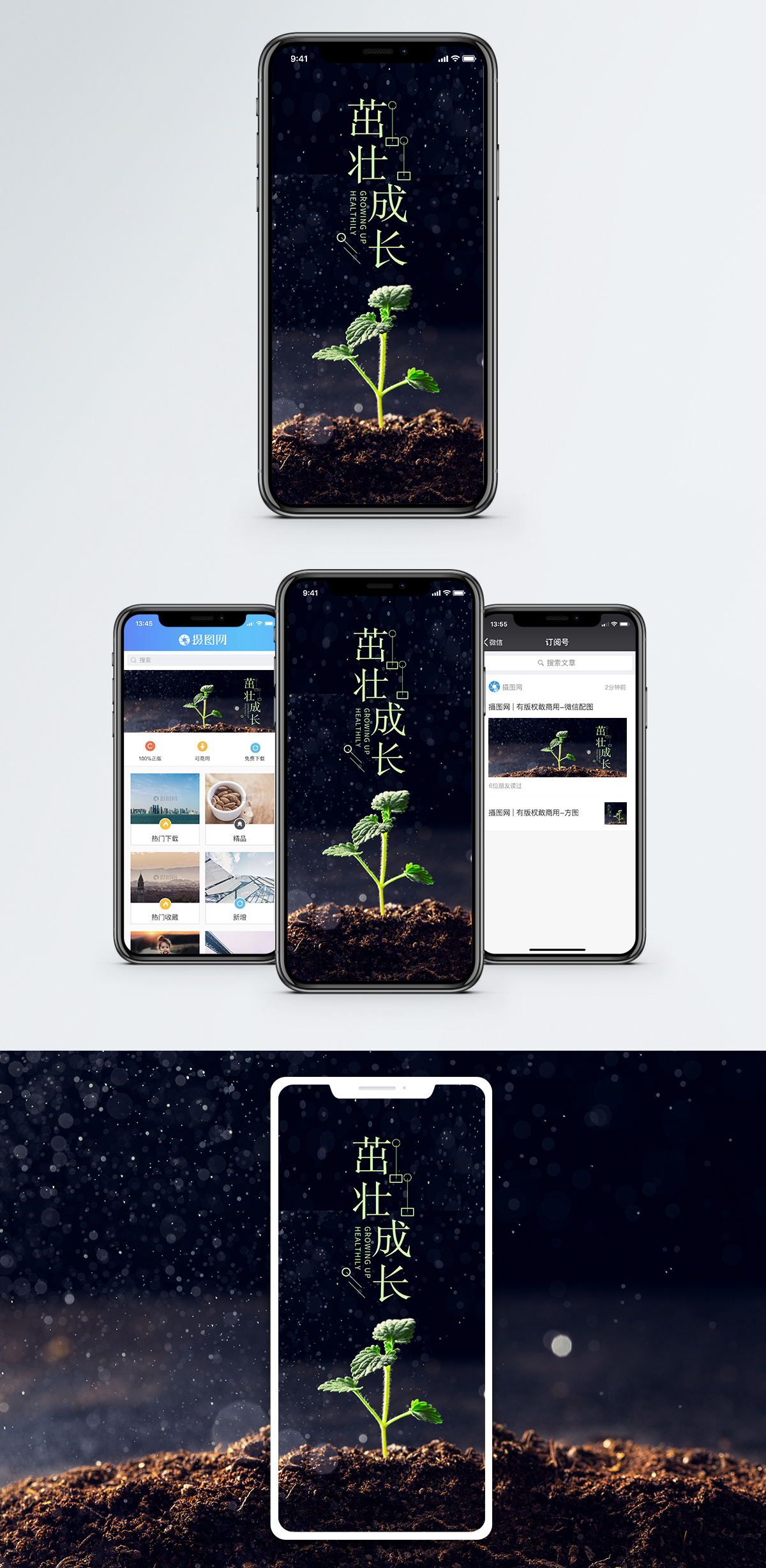 贡菜生长成长手机海报配图模板