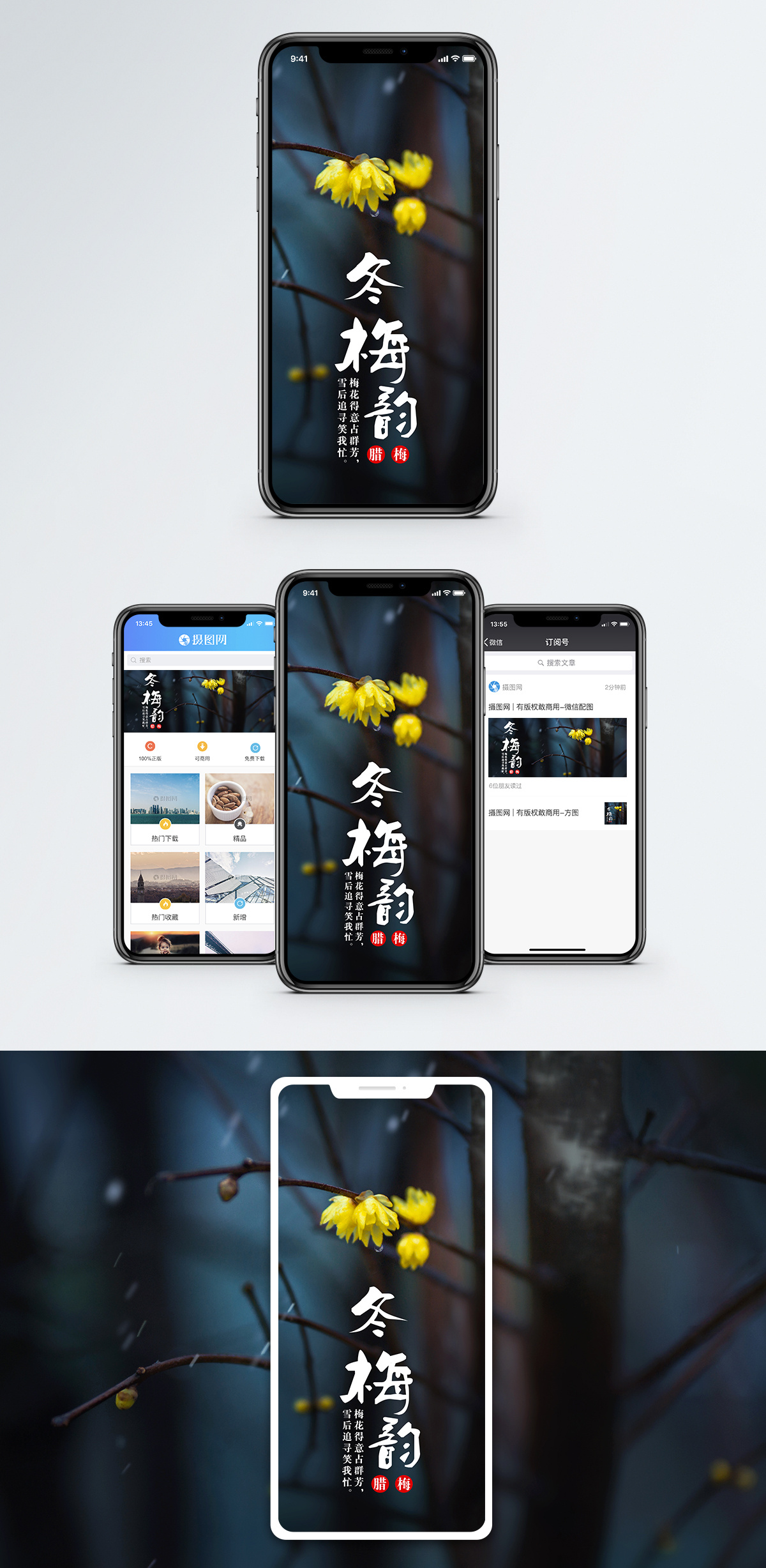 冬恋冬梅韵手机花瓣配图模板