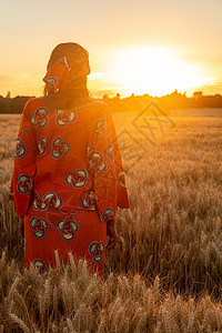 穿着传统衣服的非洲妇女日落或日出时站大麦或小麦作物的地里图片