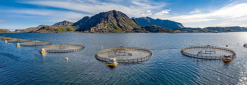挪威鲑鱼养殖场图片