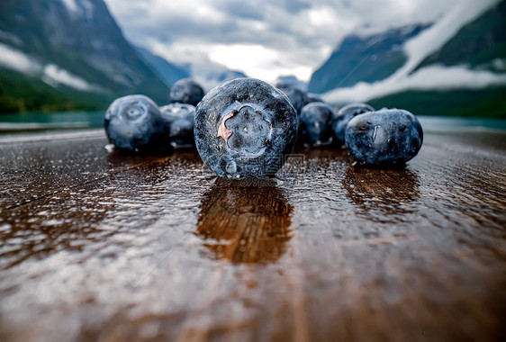 挪威自然背景下木桌上的蓝莓抗氧化剂图片