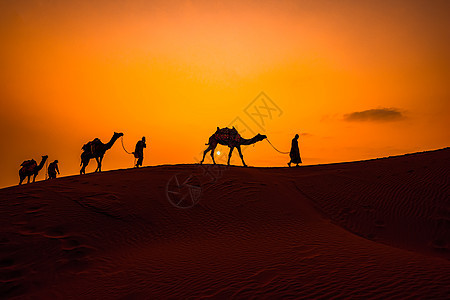 来客,日落时的骆驼司机日落沙尔沙漠,贾萨尔默,拉贾斯坦邦,印度图片