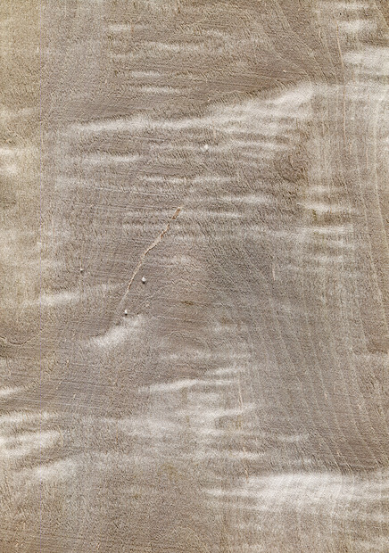 天然木制纹理背景西科莫尔木材图片