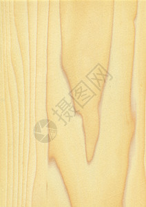天然木制纹理背景杨木图片