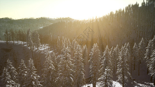 早晨阳光照耀下的雄伟的冬季景观戏剧性的温特里场景冬天的风景早晨被阳光照耀着图片