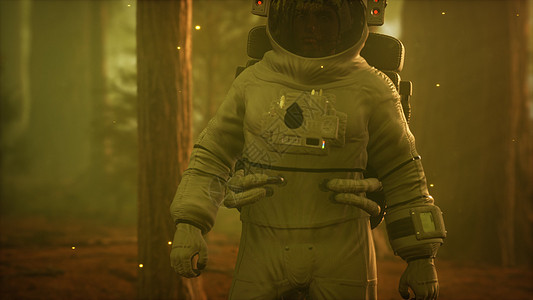 黑暗森林里孤独的宇航员图片