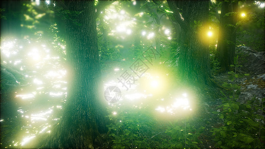 萤火虫绿色的森林里飞行萤火虫森林里飞行图片