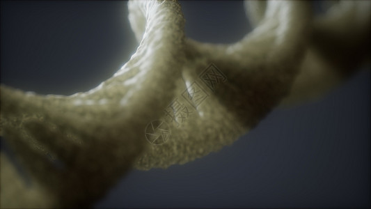 结构的DNA双螺旋循环动画,DNA分子生物逻辑片段的可循环结构的DNA双螺旋动画图片