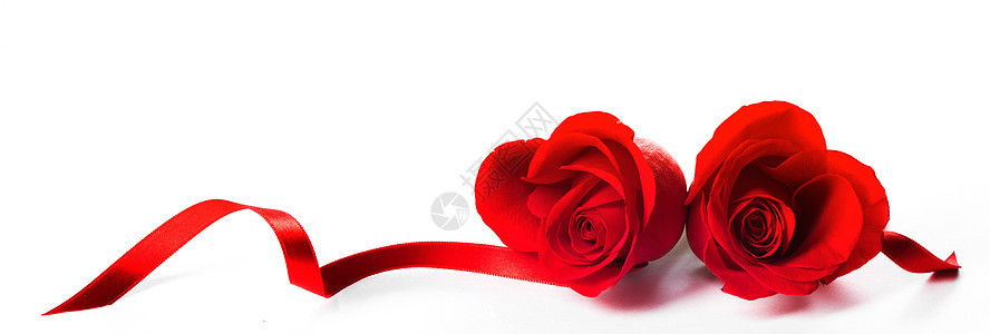 红玫瑰的心卷曲的丝带隔离白色背景情人节玫瑰的心图片
