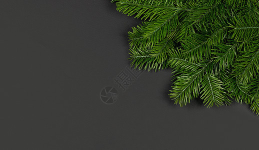 圣诞边界安排与新鲜冷杉树枝黑色纸背景,的文本冷杉树枝的圣诞边界图片