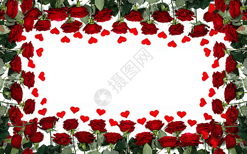 红色玫瑰纸心边框隔离白色背景上,情人节红玫瑰纸心图片