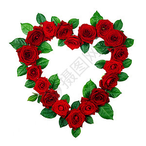 红色玫瑰边框心形隔离白色背景上,情人节红色玫瑰的心形图片