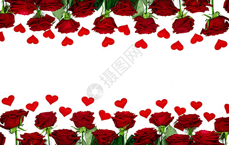 玫瑰边框红色玫瑰纸心边框隔离白色背景上,情人节红玫瑰纸心背景