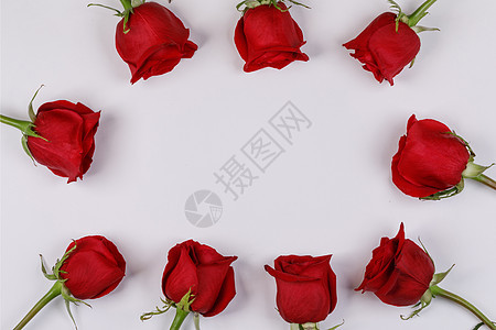 红色玫瑰花框构图白色背景上,顶部有情人节,生日,婚礼,母亲节红色玫瑰框白色图片